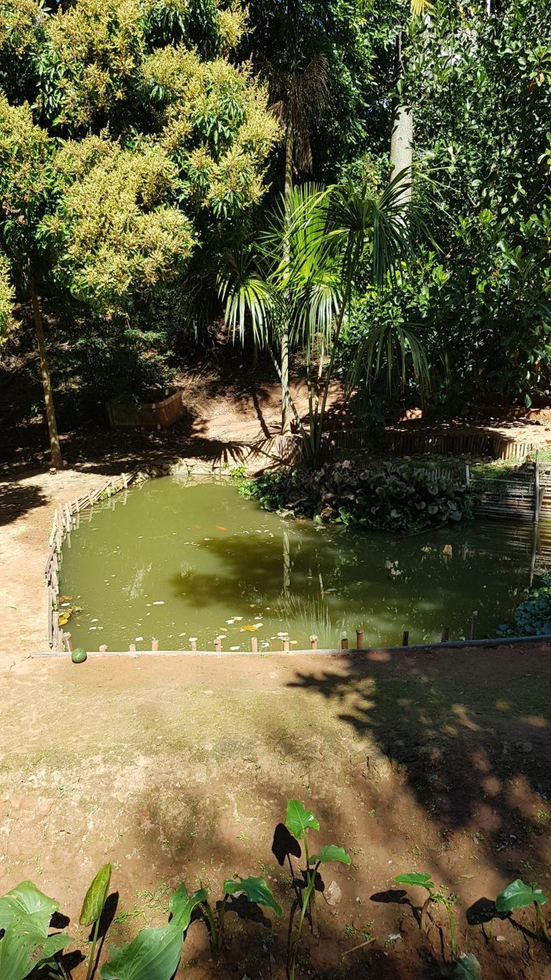 Chales Magia Das Aguas Águas de Lindóia Exteriör bild